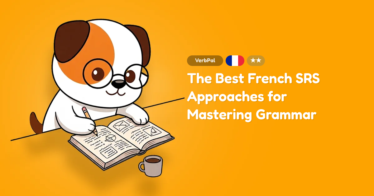 The Best French SRS Approaches for Mastering Grammar