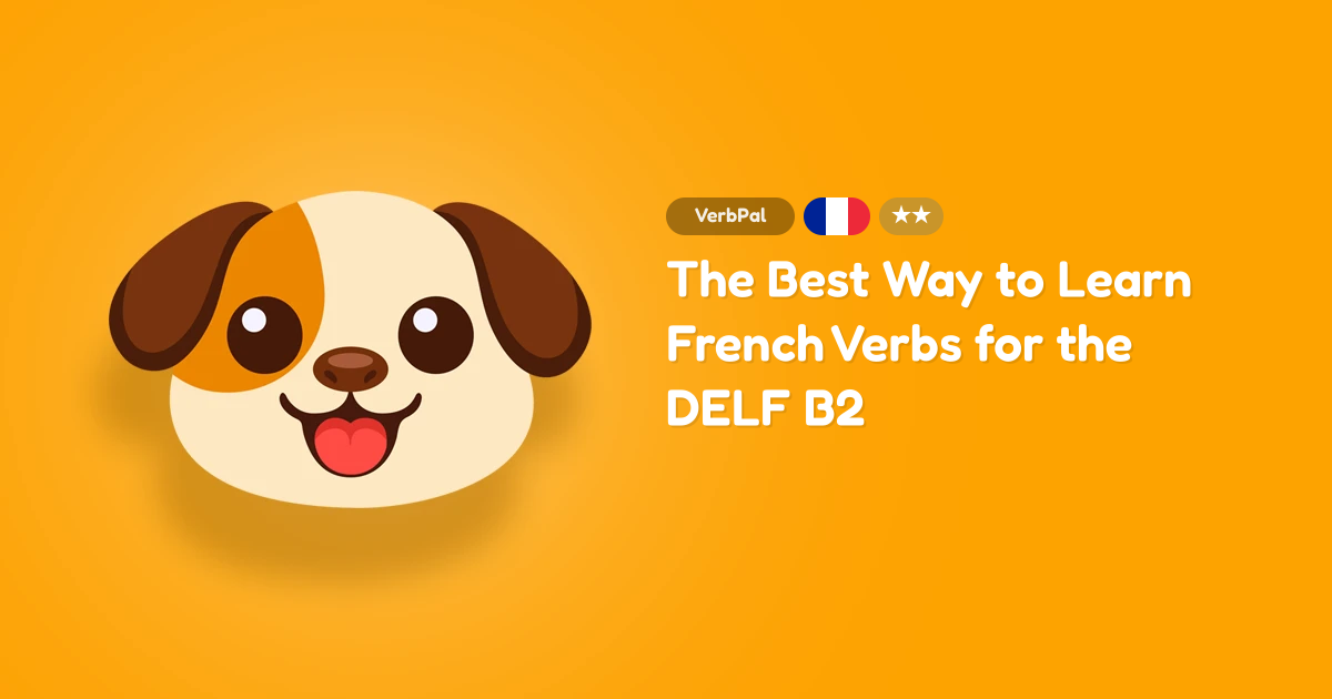 The Best Way to Learn French Verbs for the DELF B2