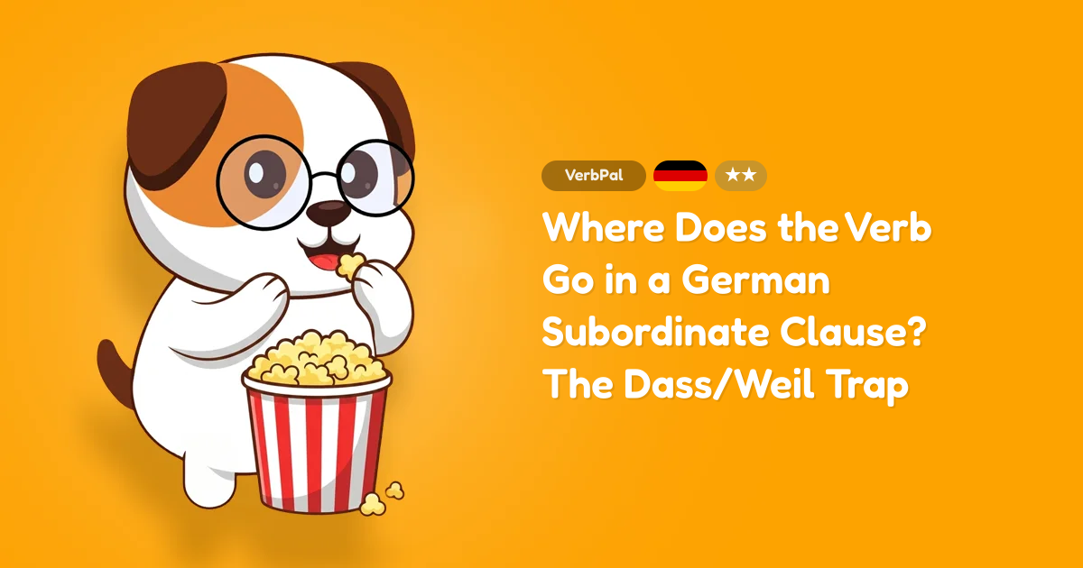 Where Does the Verb Go in a German Subordinate Clause? The Dass/Weil Trap