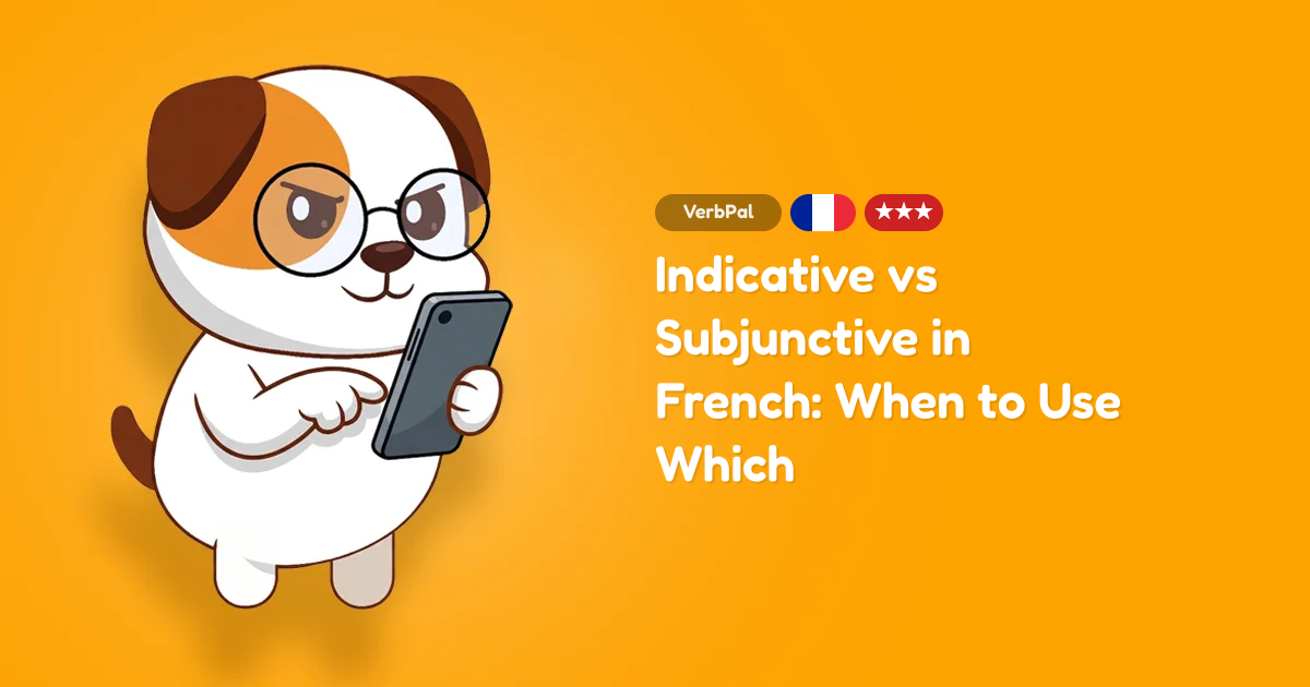Indicative vs Subjunctive in French: When to Use Which