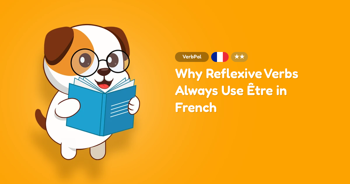 Why Reflexive Verbs Always Use Être in French