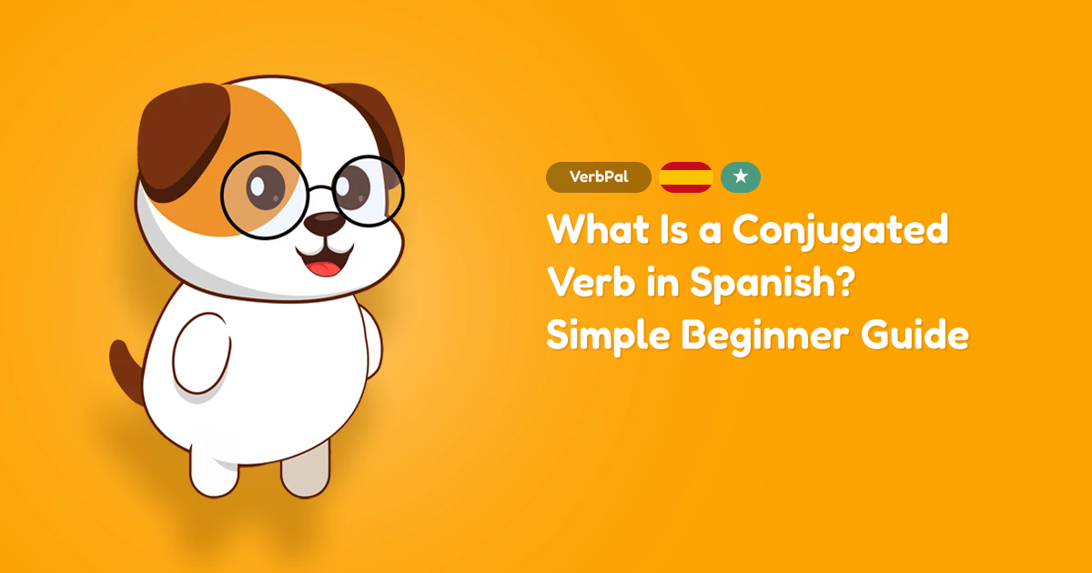What Is a Conjugated Verb in Spanish? Simple Beginner Guide